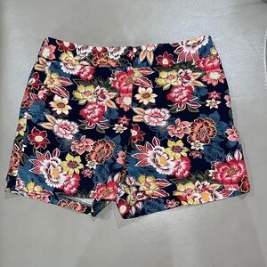 LOFT ANN TAYLOR Shorts Blue Multi Color, Size 10